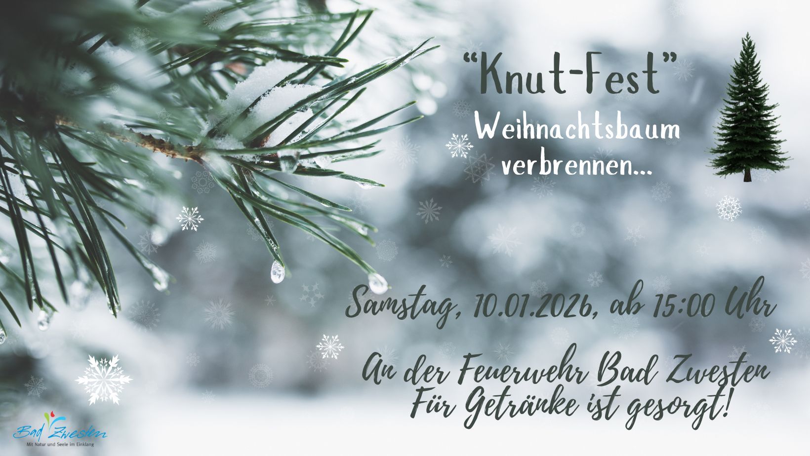 Knut-Fest  - 1