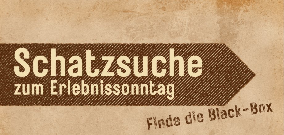 Green and Brown Treasure HuntRustic Illustrative Birthday Poster - 1